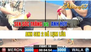 Trận 18 CPC3 28/09/2024 Anh Sen Sóc Trăng Đá Xổ Anh Huy