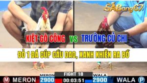 Trận 18 CPC3 30/09/2024 Anh Kiệt Gò Công Đá Xổ Anh Trường Củ Chi