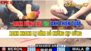 Trận 19 CPC1 26/09/2024 Anh Minh VT Đá Xổ Anh Thiện Quậy