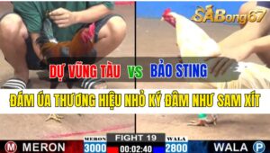 Trận 19 CPC2 29/09/2024 Anh Dự VT Đá Xổ Anh Bảo Sting