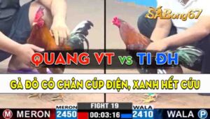 Trận 19 CPC3 13/09/2024 - Gà Anh Quang Vũng Tàu Có Chân Cúp Điện