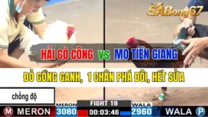 Trận 19 CPC3 30/09/2024 Anh Hải Gò Công Đá Xổ Anh Mo Tiền Giang