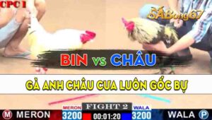 Trận 2 CPC1 03/09/2024 - Anh Châu Cưa Luôn Gốc Bự