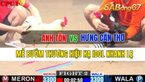 Trận 2 CPC1 26/09/2024 Anh Tôn Đá Xổ Anh Hưng CT