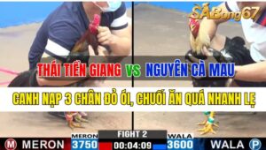 Trận 2 CPC3 30/09/2024 Anh Thái Tiền Giang Đá Xổ Anh Nguyên Cà Mau