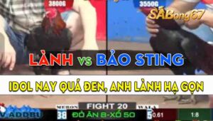 Trận 20 CPC2 18/09/2024 - Gà Anh Lành Hạ Đẹp Anh Bảo Sting