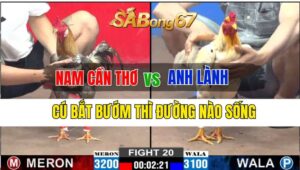 Trận 20 CPC2 27/09/2024 Anh Nam Cần Thơ Đá Xổ Anh Lành