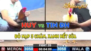 Trận 20 CPC3 12/09/2024 - Gà Anh Huy Nạp 3 Đá, Gà Anh Tin Hết Cứu