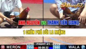 Trận 21 CPC2 25/09/2024 Anh Nguyên Đá Xổ Anh Thanh Tiền Giang