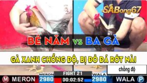 Trận 21 CPC3 14/09/2024 - Anh Ba Gà Chồng Độ, Bị Anh Bé Năm Đá Rớt Nài