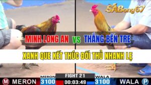 Trận 21 CPC3 24/09/2024 Anh Minh Long An Đá Xổ Anh Thắng Bến Tre