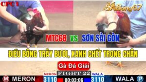 Trận 22 CPC1 26/09/2024 Mtc68 Đá Xổ Anh Sơn SG