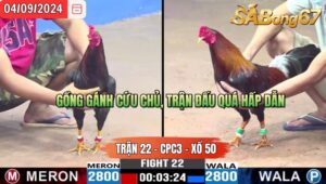 Trận 22 CPC3 04/09/2024 Anh Đức ĐN Đá Xổ Anh Sang