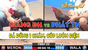 Trận 22 CPC3 09/09/2024 - Gà Anh Giang Đức Hòa Đá 1 Cước Cúp Điện