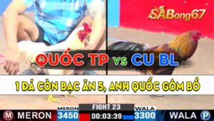 Trận 23 CPC3 14/09/2024 - Gà Anh Quốc Thành Phố Hốt Bạc