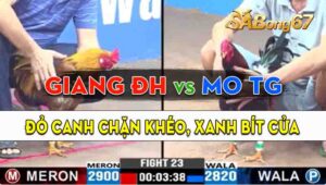 Trận 23 CPC3 22/09/2024 - Anh Giang Đức Hòa Và Anh Mo Tiền Giang