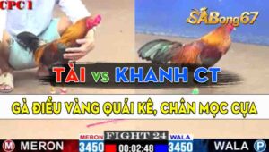 Trận 24 CPC1 10/09/2024 - Gà Anh Khanh Cần Thơ Đá Đòn Quá Hiểm