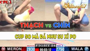 Trận 24 CPC1 17/09/2024 - Gà Cup 50 Của Anh Thạch Đá Như Su Xì Po