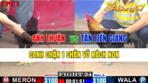 Trận 24 CPC1 30/09/2024 Anh Thuận Đá Xổ Anh Tân Tiền Giang