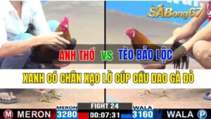 Trận 24 CPC2 25/09/2024 Anh Thổ Đá Xổ Anh Tèo Bảo Lộc