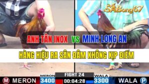 Trận 24 CPC3 24/09/2024 Anh Tân Inox Đá Xổ Anh Minh Long An