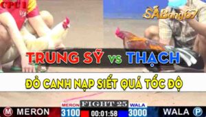 Trận 25 CPC1 17/09/2024 - Gà Anh Trung Sỹ Đá Quá Nhanh Quá Nguy Hiểm