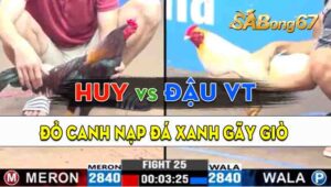 Trận 25 CPC3 11/09/2024 - Gà Anh Huy Canh Nạp Gãy Giò Gà Anh Đậu VT