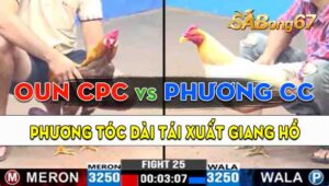 Trận 25 CPC3 16/09/2024 - Anh Phương Tóc Dài Và Anh Oun Campuchia