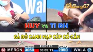 Trận 25 CPC3 19/09/2024 - Gà Anh Huy Canh Đá Đầu Cần