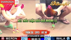 Trận 26 CPC1 05/09/2024 Anh Ton Đá Xổ Anh Hào