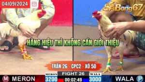 Trận 26 CPC2 04/09/2024 Anh Hugo Đá Xổ Anh Bảo Sting