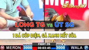 Trận 26 CPC3 12/09/2024 - Gà Anh Long Tiền Giang Đá 1 Chân Cúp Điện