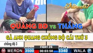 Trận 26 CPC3 19/09/2024 - Gà Anh Quàng Bình Dương Chồng Độ Cái Thứ 3