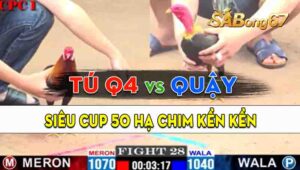 Trận 28 CPC1 02/09/2024 - Gà Anh Tú Quận 4 Thành Công Hạ Anh Quậy