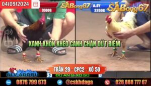 Trận 28 CPC2 04/09/2024 Anh Dự Đá Xổ Anh Sy