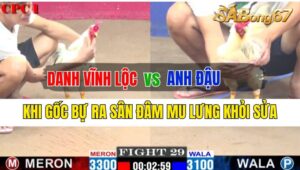 Trận 29 CPC1 26/09/2024 Anh Danh Vĩnh Lộc Đá Xổ Anh Đậu