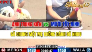 Trận 29 CPC1 30/09/2024 Anh Trung Kiên Đá Xổ Anh Mười Tây Ninh