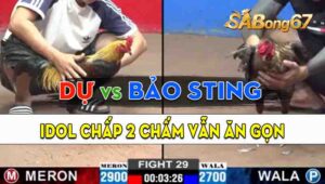 Trận 29 CPC2 20/09/2024 - Gà Anh Bảo Sting Chấp 2 Chấm Vẫn Ăn Gọn