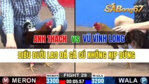 Trận 29 CPC2 25/09/2024 Anh Thạch Đá Xổ Anh Vũ Vĩnh Long