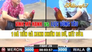 Trận 29 CPC3 25/09/2024 Anh Vinh Mỹ Hạnh Đá Xổ Anh Lực Vũng Tàu