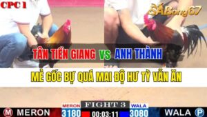 Trận 3 CPC1 26/09/2024 Anh Tân TG Đá Xổ Anh Thành