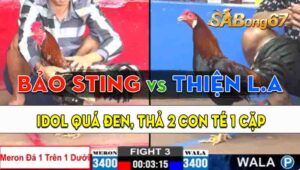 Trận 3 CPC2 15/09/2024 - Anh Bảo Sting Gặp Anh Thiên Long An