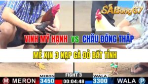 Trận 3 CPC3 28/09/2024 Anh Vinh Mỹ Hạnh Đá Xổ Anh Châu Đồng Tháp