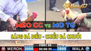 Trận 30 CPC3 17/09/2024 - Anh Mèo Củ Chi Đối Đầu Anh Mo Tiền Giang