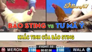 Trận 32 CPC2 20/09/2024 - Anh Tư Mã Ý Khắc Tinh Của Anh Bảo Sting