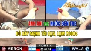 Trận 33 CPC2 25/09/2024 Anh An Đá Xổ Anh Nhóc Bến Tre