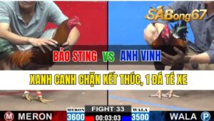 Trận 33 CPC2 27/09/2024 Anh Bảo Sting Đá Xổ Anh Vinh