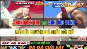 Trận 34 CPC2 25092024 Anh Trung Bến Tre Đá Xổ Anh Bảo Sting