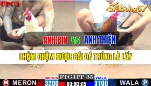 Trận 35 CPC1 30/09/2024 Anh Bin Đá Xổ Anh Thiện