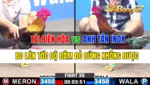 Trận 35 CPC3 24/09/2024 Anh Tài Biên Hòa Đá Xổ Anh Tân Inox